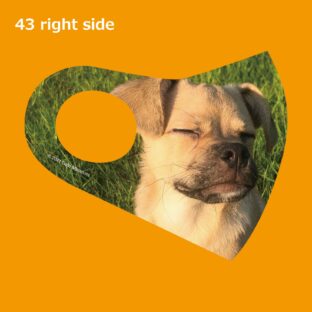 くまもとクリエイターズ　マスク　43　A Simple Smile #1